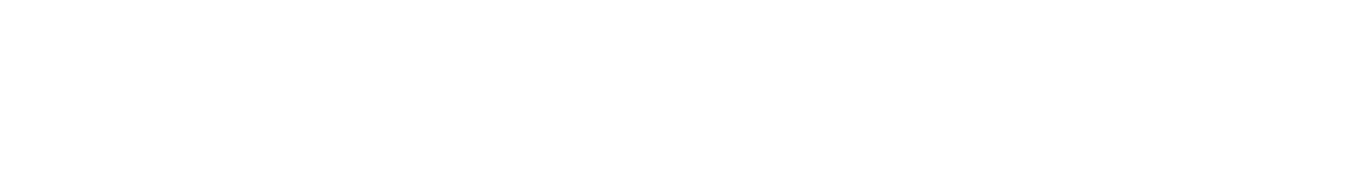 Primary Raster logo